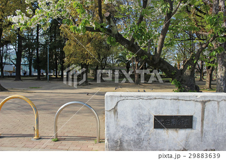 本庄南公園/大阪府東大阪市本庄中 29883639