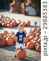 Happy little boy with pumpkin 29885383
