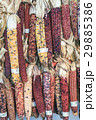 Colorful corn on autumn market place 29885386