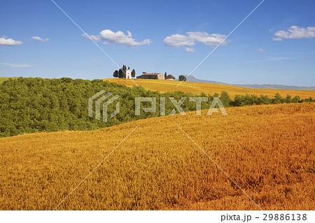 Fields of Tuscany, Italy 29886138