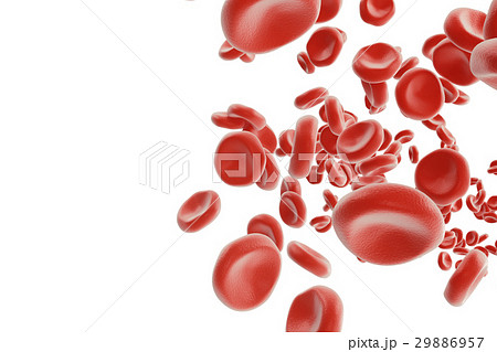 Red blood cells in vein or artery, flow inside Red blood cells in vein or artery, flow inside 29886957