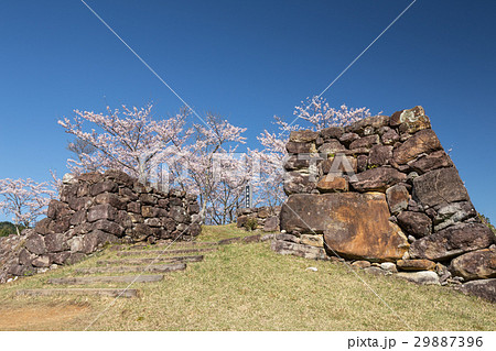 春の赤木城跡 春の赤木城跡 29887396