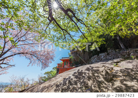 春の神倉神社 29887423