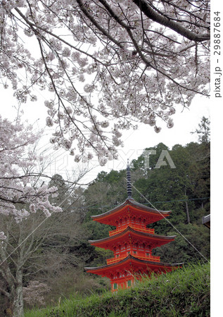 桜の季節の美作長福寺三重塔〔縦位置) 桜の季節の美作長福寺三重塔〔縦位置) 29887684