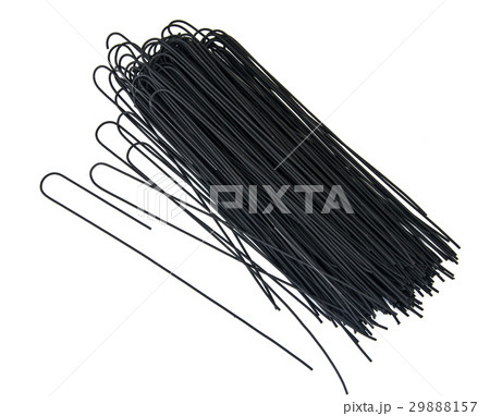 Black spaghetti on white background 29888157