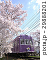 嵐電桜のトンネル 29888201
