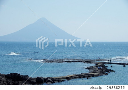 番所鼻から見る開聞岳 29888256