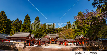 陽春の霧島神宮 陽春の霧島神宮 29888366
