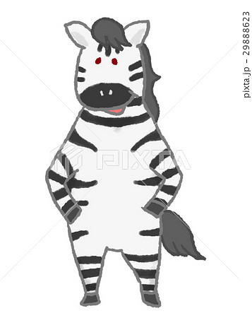 Zebra Stock Illustration
