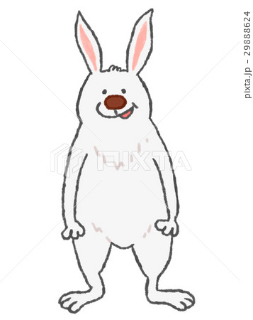 うさぎ 29888624