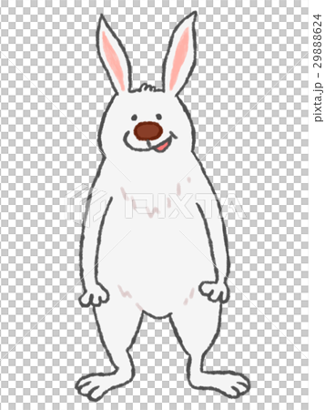 一隻兔子 29888624