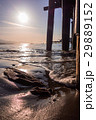 橋　海　ビーチ 29889152