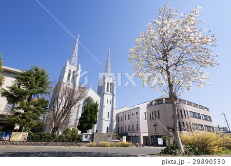カトリック布池教会と木蓮 29890530