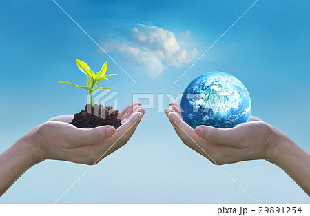 Hands holding earth, green tree, world environment Hands holding earth, green tree, world environment 29891254