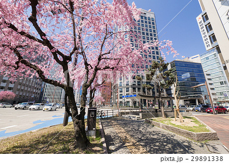 名古屋市 中区 丸の内 桜通大津交差点 名古屋市営地下鉄久屋大通駅2番出入口 名古屋市 中区 丸の内 桜通大津交差点 名古屋市営地下鉄久屋大通駅2番出入口 29891338