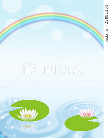 新緑 スイレン 暑中見舞い 新緑 スイレン 暑中見舞い 29892361