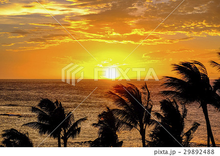 ハワイ島の夕日 ハワイ島の夕日 29892488