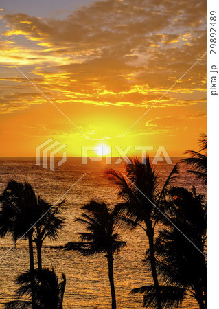 ハワイ島の夕日 ハワイ島の夕日 29892489