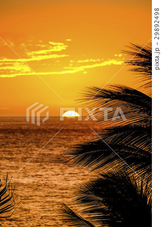 ハワイ島の夕日 29892498