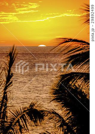 ハワイ島の夕日 ハワイ島の夕日 29892499
