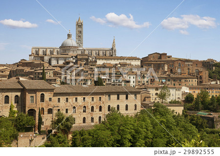 Sienna city. Tuscany, Italy Sienna city. Tuscany, Italy 29892555