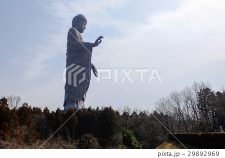 牛久大仏 29892969