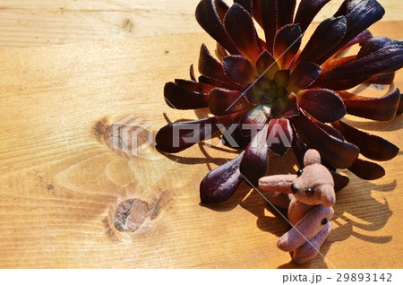 黒法師とテディベア 黒法師とテディベア 29893142