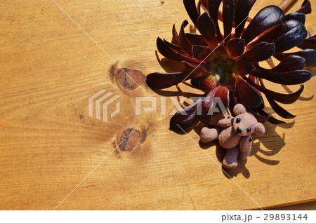 黒法師とテディベア 29893144