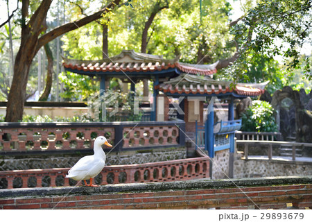景色 風景 台湾 29893679