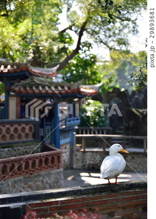 建築 構築 アーキテクチャ 29893681