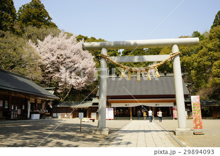 常磐神社 常磐神社 29894093