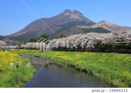 ゆふいんの春Ⅰ ゆふいんの春Ⅰ 29894323