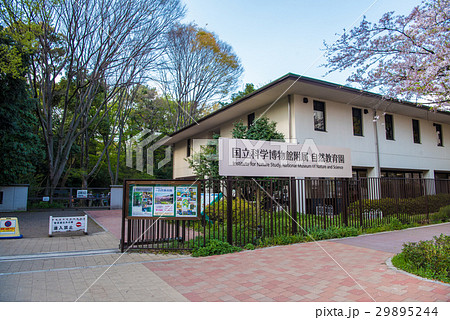 国立科学博物館付属自然教育園 港区白金台 国立科学博物館付属自然教育園 港区白金台 29895244