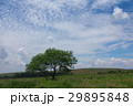 高原の風景 29895848