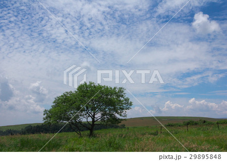 高原の風景 高原の風景 29895848