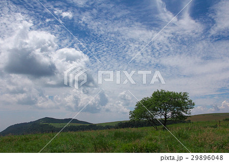 高原の風景 高原の風景 29896048