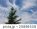 高原の風景 29896338