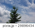 高原の風景 29896434