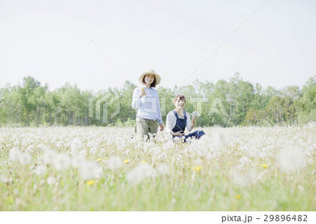 タンポポ　綿毛　女性 29896482