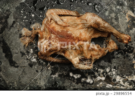 Fried chicken moldy 29896554