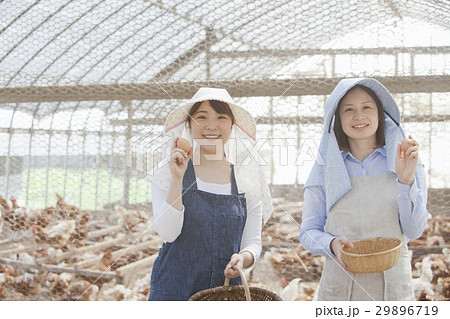 養鶏　女性 29896719