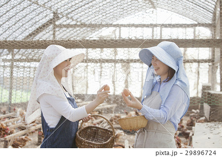 養鶏　女性 29896724
