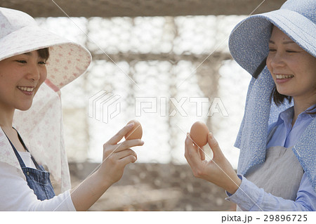 養鶏 女性 養鶏 女性 29896725