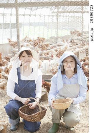 養鶏　女性 29896728