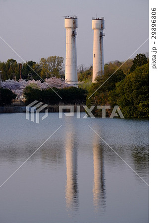 航空自衛隊の桜と古墳（奈良市佐紀町） 29896806