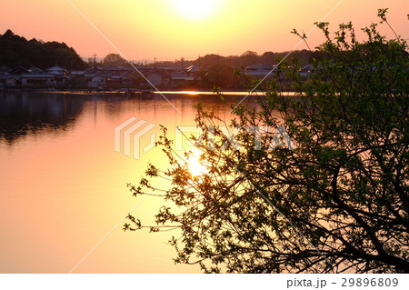 新緑と水上池の落陽(奈良市佐紀町) 新緑と水上池の落陽(奈良市佐紀町) 29896809