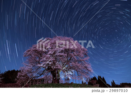 醍醐桜と星の日周運動 29897010
