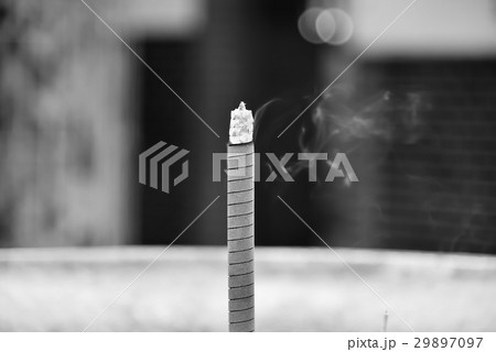 景色 風景 台湾 29897097