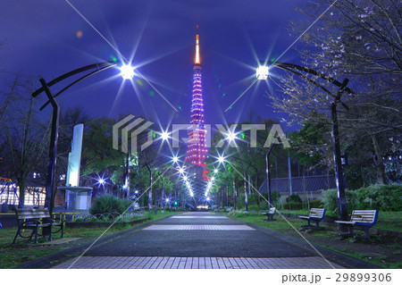 東京夜景 29899306