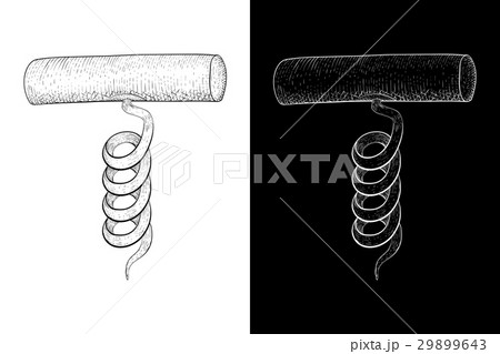 Corkscrew. Hand drawn sketch on white and black Corkscrew. Hand drawn sketch on white and black 29899643